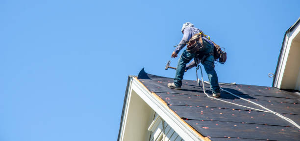 Best Roof Maintenance Services  in Midland City, AL
